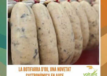 Anàlisi de les línies d’ajuts a persones, entitats i comerços de Deltebre