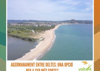 Agermanament entre Deltes: una opció per a ser més forts?