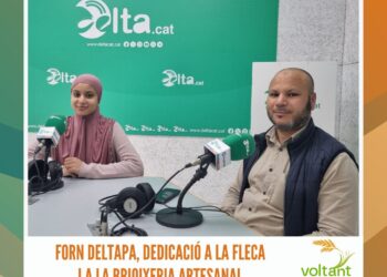 Agermanament entre Deltes: una opció per a ser més forts?