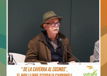 La singularitat de l’Illa de Buda: passat, present i futur