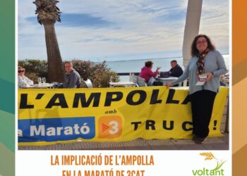 La Comissió de Bous de La Cava, premi a la millor tarda de vaques