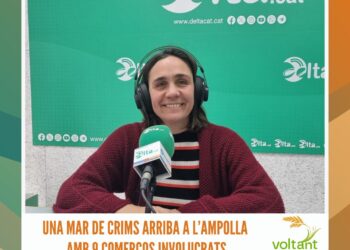 Els TOP del Carnaval al Delta, premiats a Deltebre, l’Ampolla i Sant Jaume d’Enveja