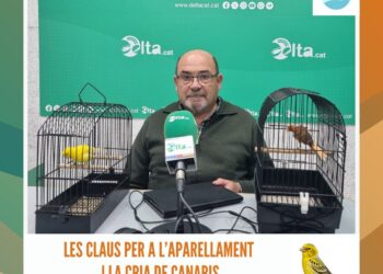 L’equilibri entre la bona oferta turística i el benestar de la població local