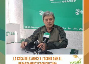 Teresa Solsona: “Parlem del Delta, però no acabem de llançar-nos”