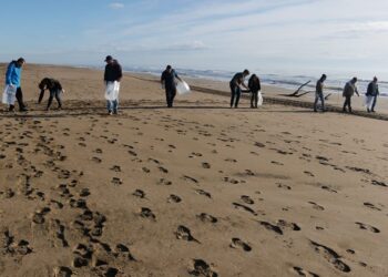 Els municipis del Delta se sumen, una vegada més, a la campanya “Per un Delta Net!”