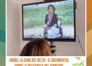‘Arròs, la sang del Delta’: el documental sobre la delicadesa del territori