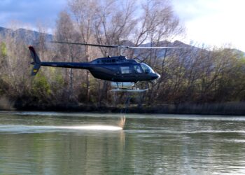 Comencen els tractaments contra la mosca negra amb la plaga “controlada” a l’Ebre