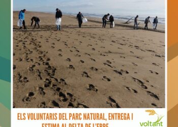 Els voluntaris del Parc Natural, entrega i estima al Delta de l’Ebre
