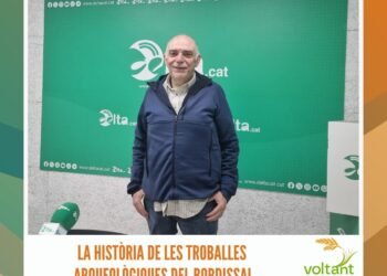 L’alimentació dels canaris nounats i preparació de la segona posta