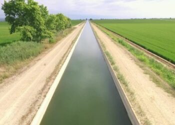 Tot a punt per a la campanya de reg al Delta amb un 75% dels arrossars treballats