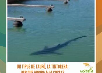 La importància d’una bona protecció solar per a la nostra pell