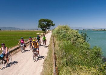 Alta ocupació en cases rurals i restaurants els dies festius de Setmana Santa a l’Ebre