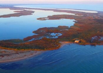 El Govern inicia un projecte per avaluar el CO2 acumulat al litoral i el seu emmagatzematge