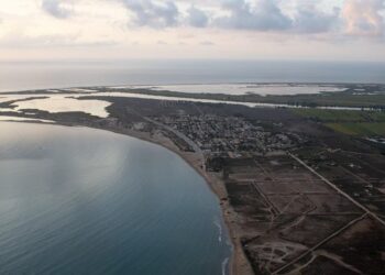 La taula de Consens del Delta es reuneix amb el secretari d’Estat de Medi Ambient