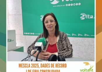 Mescla, dades de rècord i de fira consolidada