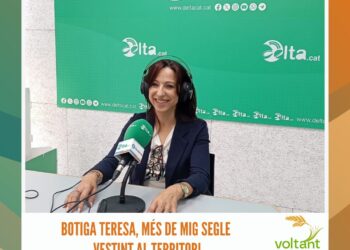 Presentada la programació taurina de les Festes Majors de Sant Joan