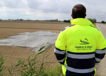 El Govern destinarà un milió d’euros d’ajuts europeus per a la gestió de l’aigua dels arrossars