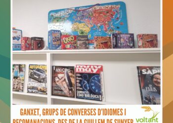 La muda dels canaris: què és, duració i consells pràctics