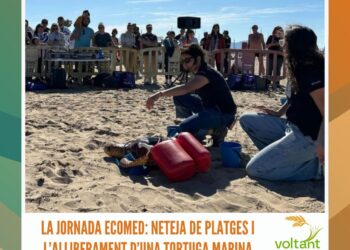 La jornada ECOMED: neteja de platges i l’alliberament d’una tortuga marina