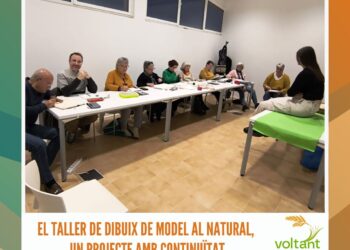 Energia solar de proximitat, una realitat a Sant Jaume d’Enveja