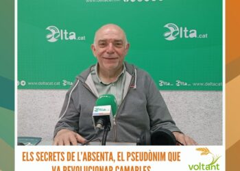 La jornada ECOMED: neteja de platges i l’alliberament d’una tortuga marina