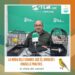 La muda dels canaris: què és, duració i consells pràctics