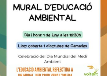 Els alumnes de Problemàtiques Socials, de la mà de la Lliga contra el Càncer