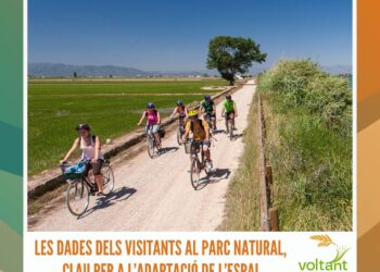 Reforç i impuls, els eixos de la junta del Club de Futbol Ampolla