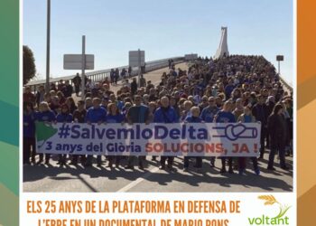 L’Arrossera: creació, talent i identitat amb essència Delta