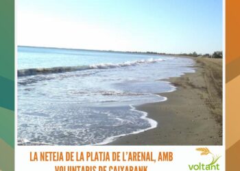 Els reptes i les oportunitats de la IA en els processos d’aprenentatge