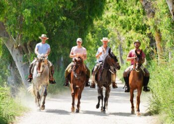 Un any més, Sant Jaume d’Enveja celebra la tradicional romeria de Sant Pere a la històrica illa de Buda