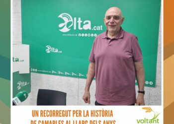 Les cinc propostes dels pressupostos participatius de l’Ampolla