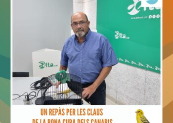 La Woman’s Champions Cup, el protagonisme del futbol femení