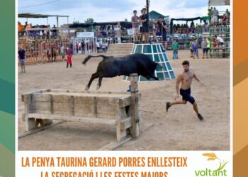 Les al·legacions de l’atermenament: passat, present… i futur?