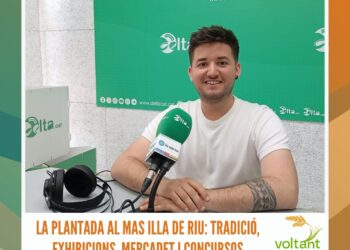 La plantada al Mas Illa de Riu: tradició, exhibicions, mercadet i concursos
