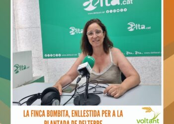 L’Ampolla encamina les Festes Majors de Sant Joan 2025