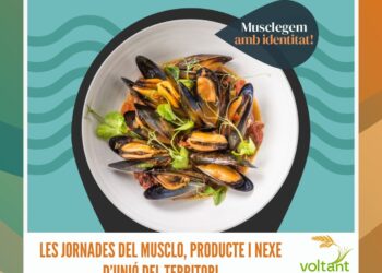 La màgia de l’Illa de Buda, a cop de pedal