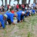 La Festa de la Plantada arriba al Mas Illa de Riu de Sant Jaume d’Enveja este diumenge