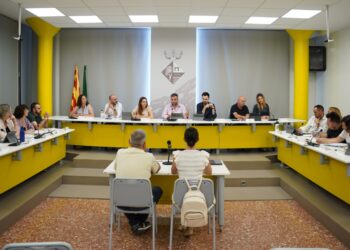 Deltebre aprova nous protocols i plans estratègics d’igualtat, inclusió i conciliació