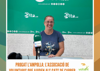 Progat L’Ampolla: l’associació de voluntaris que ajuden als gats de carrer