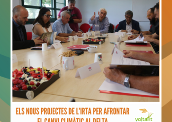 Els nous projectes de l’IRTA per afrontar el canvi climàtic al Delta