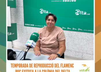 Temporada de reproducció del flamenc poc exitosa a la colònia del Delta