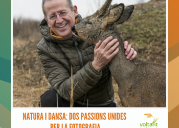 Inici del tercer tractament larvicida per controlar les poblacions de mosquits al Delta