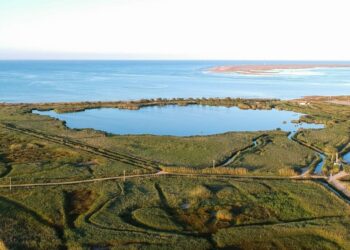 Licitades les obres per a la restauració de la Bassa de les Olles, al Delta de l’Ebre