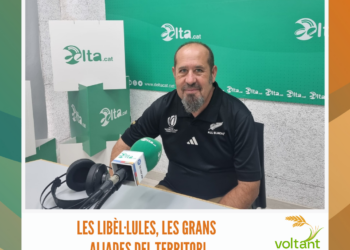 Les libèl·lules, les grans aliades del territori