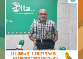 Les novetats de la nova edició del Delta Birding Festival