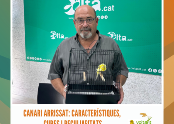 Progat L’Ampolla: l’associació de voluntaris que ajuden als gats de carrer