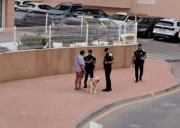 Comença la campanya informativa sobre l’ordenança de tinença d’animals a l’Ampolla