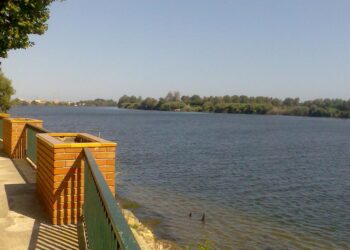 Deltebre inicia les obres del nou mirador del Molí dels Mirons, un espai per gaudir del riu i del paisatge del municipi