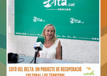 Aprenentatge basat en el joc amb jocs de taula amb veu ebrenca